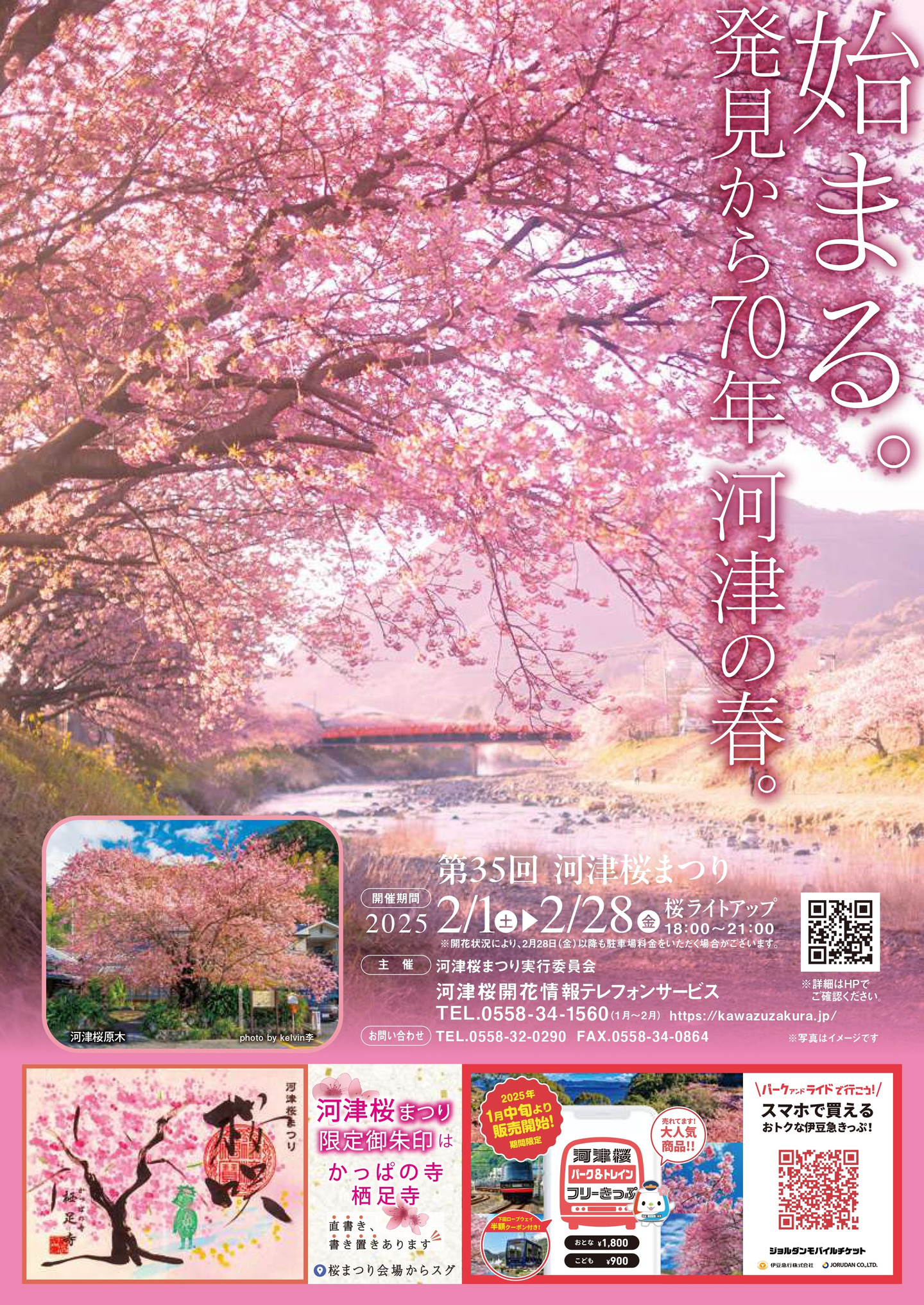桜開花が遅れ | 伊豆稲取温泉 海一望 絶景の宿 いなとり荘公式HP【最低