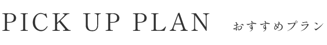 おすすめプラン