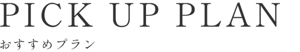 おすすめプラン